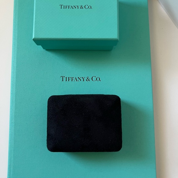 Tiffany & Co. Silver Solitaire Earrings - Picture 4 of 16